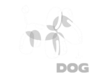 DinamitaPost-casa-de-postproduccion-mexico-logo-boomdog